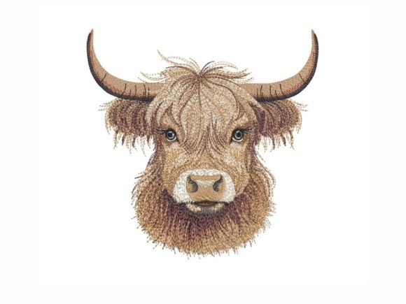 Cute Highland Cow Design Review